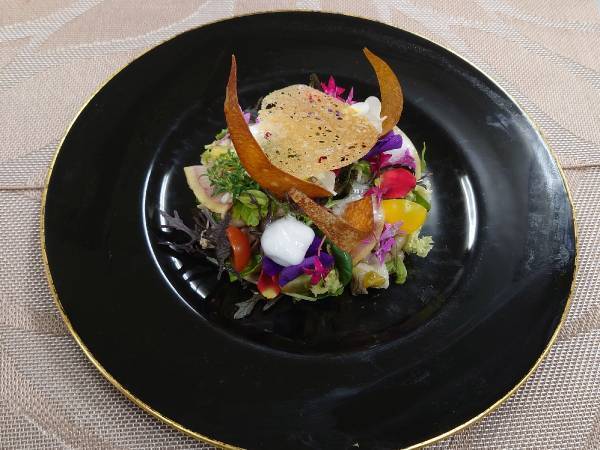 ＜旅のソロ活＞おひとり様ご褒美旅プラン販売開始 【6～7月・お日にち限定】メガビールから和風アフタヌーンティーまで