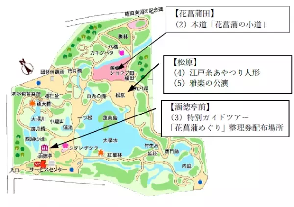 小石川後楽園の花菖蒲がまもなく見ごろを迎えます。開花に合わせたイベントも実施中。