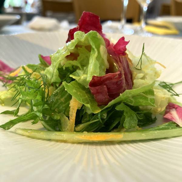 富山テレビ6/15ライブBBTにて放送！「エディブルフレグランスローズ朝摘み体験会」次回開催17日(金)ご予約受付中！