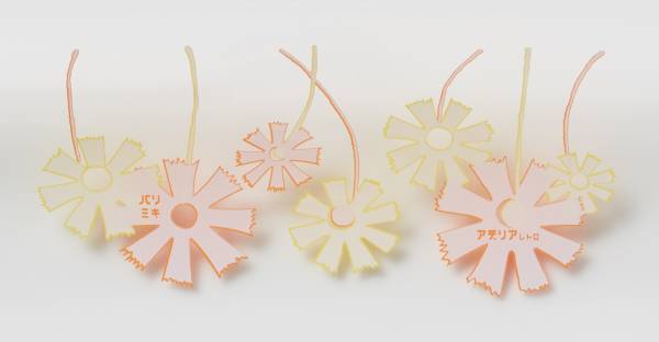 パリミキ「アデリアレトロ」とのコラボメガネフレームを 2022年8月29日に発売！