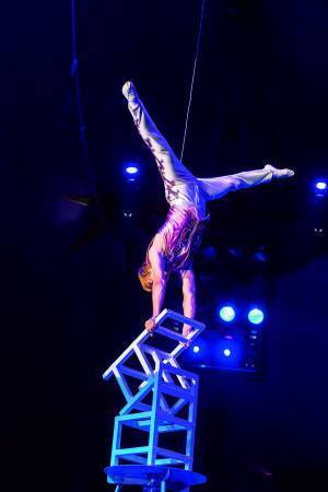 年間120万人動員　創立120周年を迎える「木下大サーカス」岡山にて開催決定！カンフェティでチケット発売