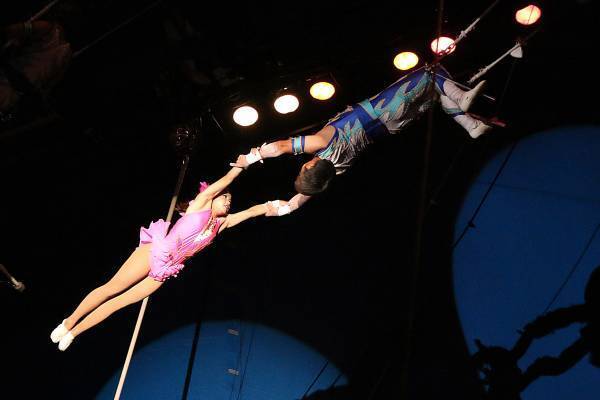 年間120万人動員　創立120周年を迎える「木下大サーカス」岡山にて開催決定！カンフェティでチケット発売