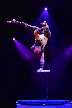 年間120万人動員　創立120周年を迎える「木下大サーカス」岡山にて開催決定！カンフェティでチケット発売