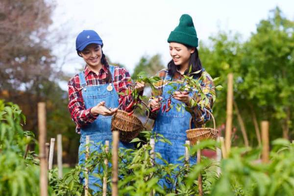 【リゾナーレ那須】｜ベジロス女子を救“菜”する「ベジロス女子の救菜ステイ」販売期間：2022年9月1日〜30日