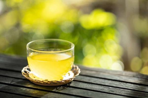 【星のや軽井沢】1日1組限定　散歩を楽しみ、涼菓を味わうプログラム「緑陰散歩」実施｜期間：2022年6月1日～8月31日