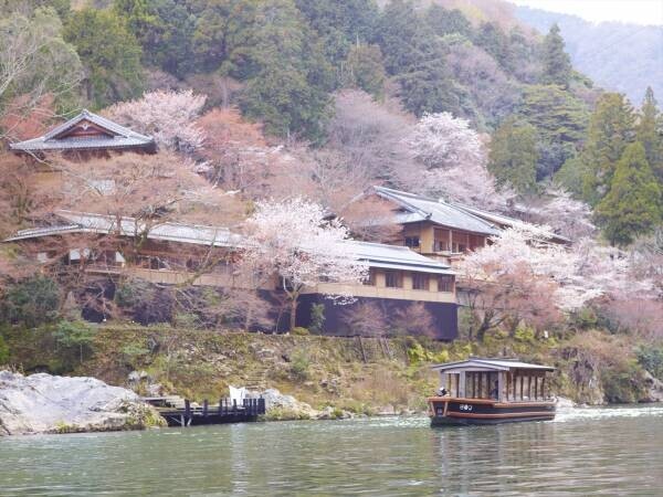 【星のや京都】1泊2日、桜に包まれる「奥嵐山の花見逗留(とうりゅう)」開催｜期間：2022年3月25日～4月10日
