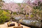 【星のや京都】1泊2日、桜に包まれる「奥嵐山の花見逗留(とうりゅう)」開催｜期間：2022年3月25日～4月10日