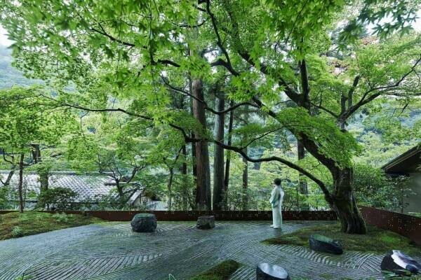 【星のや京都】涼やかな夏の朝に京都の文化人の講話を聴き、そうめんを楽しむ「奥嵐山の暁天（ぎょうてん）講座」開催開催｜期間：2022年7月4日～8月1日の毎週月曜日
