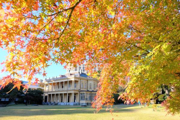 假屋崎省吾氏の花々で彩られる旧岩崎邸を堪能。「旧岩崎邸庭園で堪能する『美』」11月11日(金)～12月4日(日)
