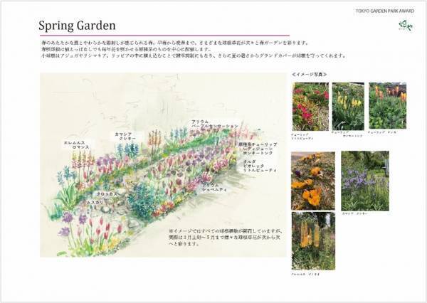 第1回東京パークガーデンアワード 代々木公園　書類審査結果について