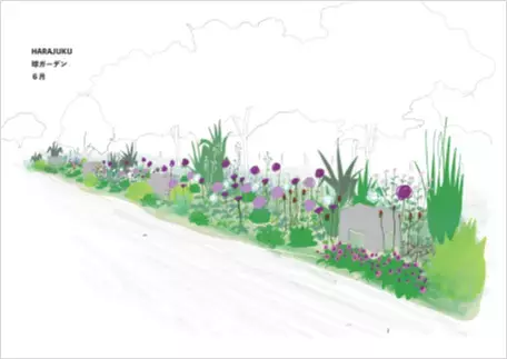 第1回東京パークガーデンアワード 代々木公園　書類審査結果について