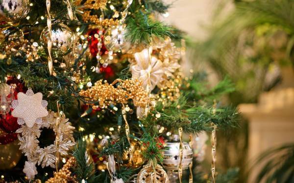 【大宮】おしゃれ空間で過ごす女子会＆ランチ忘年会に！ホワイトクリスマスをイメージしたデザート付ご褒美クリスマスランチ販売