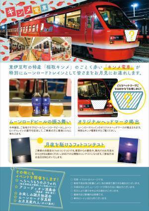 秋の夜長に伊豆半島を走る【月夜を駈けるムーンロードトレイン 東伊豆号】