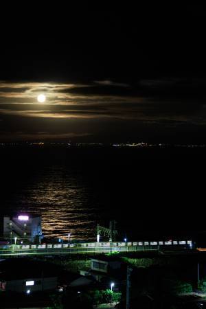 秋の夜長に伊豆半島を走る【月夜を駈けるムーンロードトレイン 東伊豆号】