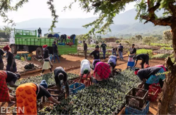 「小さな北欧美術館」大阪中之島図書館に続いて、三重県いなべ市へ！ フィンランドの森とにぎわいの森を繋いで開催！