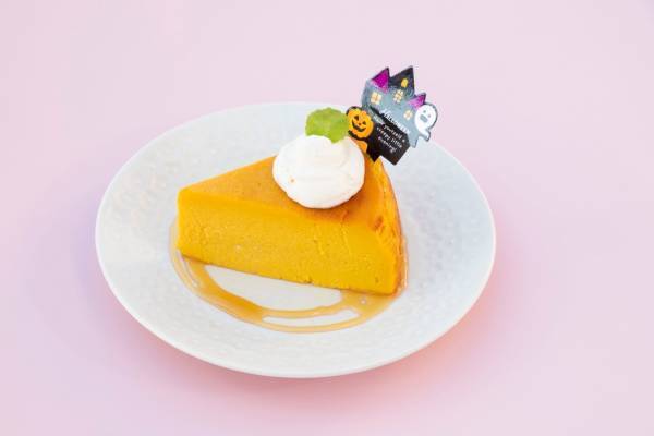 閉校になった小学校を活用した複合型施設「のじまスコーラ」 動物と一緒に楽しむことができるハロウィンイベントを開催