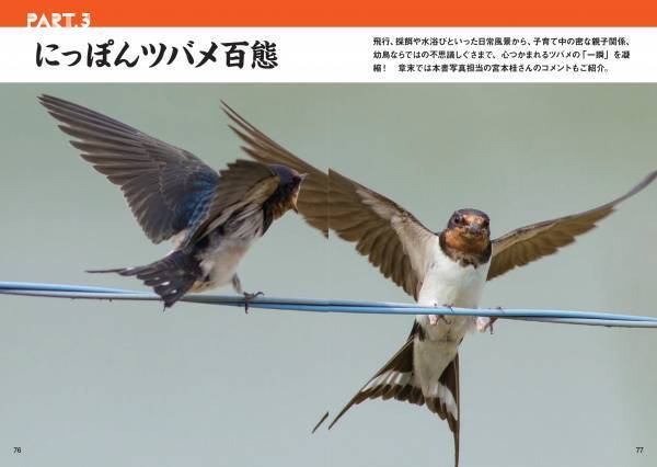 春の訪れを告げる渡り鳥‟ツバメ”のビジュアルガイドブック『にっぽんツバメ紀行』が発売！