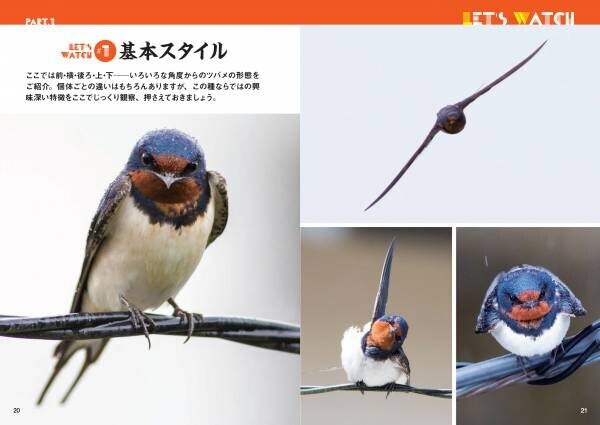 春の訪れを告げる渡り鳥‟ツバメ”のビジュアルガイドブック『にっぽんツバメ紀行』が発売！