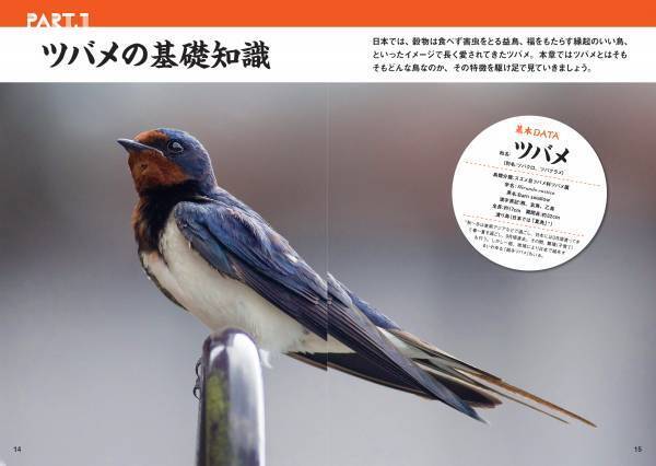 春の訪れを告げる渡り鳥‟ツバメ”のビジュアルガイドブック『にっぽんツバメ紀行』が発売！