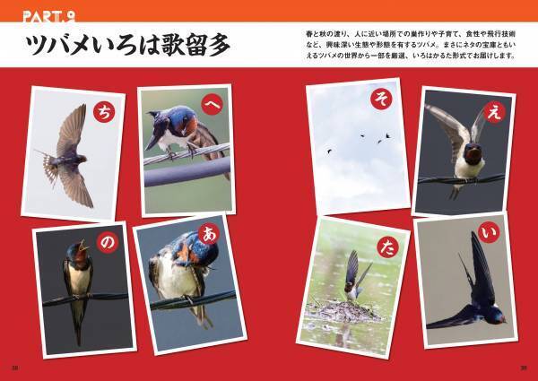 春の訪れを告げる渡り鳥‟ツバメ”のビジュアルガイドブック『にっぽんツバメ紀行』が発売！