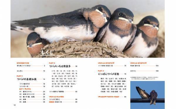 春の訪れを告げる渡り鳥‟ツバメ”のビジュアルガイドブック『にっぽんツバメ紀行』が発売！