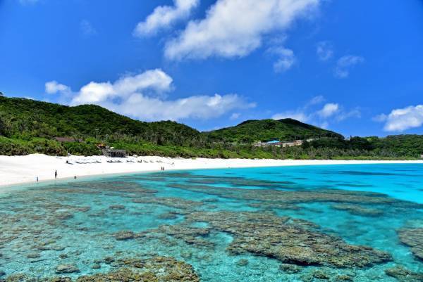 ウェディングで土地・自然・遊休地の活用＆地域活性化！ローカル企業・クリエイターとタッグを組み、地域の魅力を発信するウェディングプロデュースブランド「VIRIDI,」2022年2月5日（土）ローンチ！