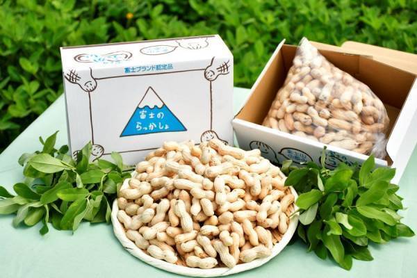 食べ始めると止まらない！ 産地直送通販サイト「ＪＡタウン」で静岡県産「富士のらっかしょ」を 販売中！