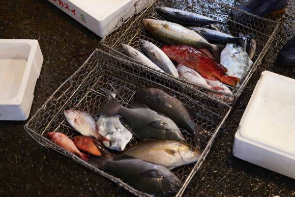 【リゾナーレ熱海】漁師の仕事を親子で本格体験！「Fisherman’s Academy ～夏休みの自由研究～」開催｜開催日：2022年7月18日～8月22日の毎週月曜日から1泊2日