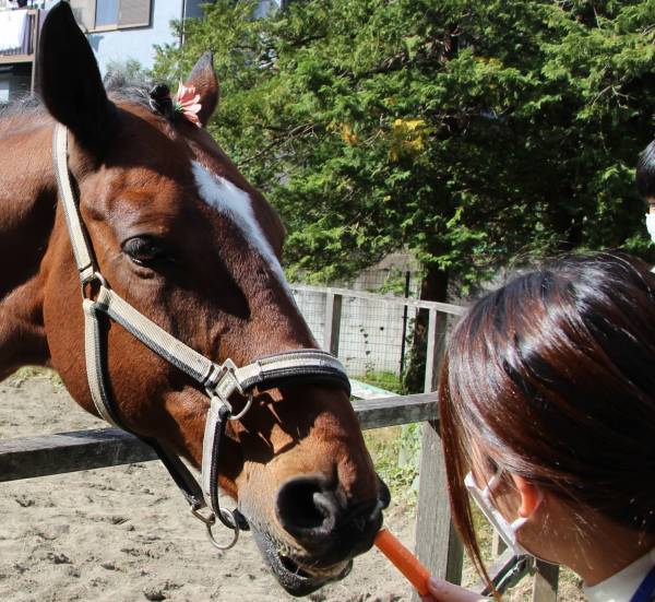 戻ってきた大学祭 3年ぶりの対面開催で約4500人が来場
