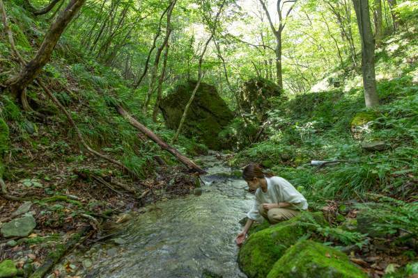 【宮城県・一の坊リゾート】スポーツの秋、爽やかな秋の海と山と森で過ごすアクティビティ