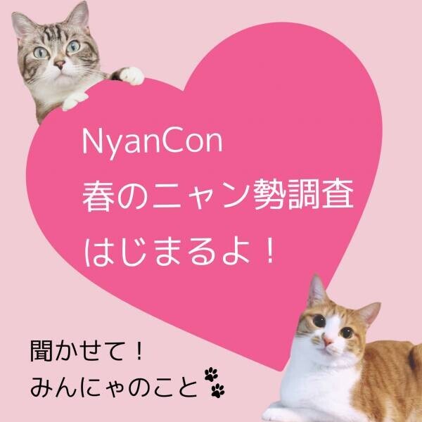 NyanCon春のニャン勢調査はじめます！〜聞かせて！みんにゃのこと〜