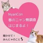 NyanCon春のニャン勢調査はじめます！〜聞かせて！みんにゃのこと〜