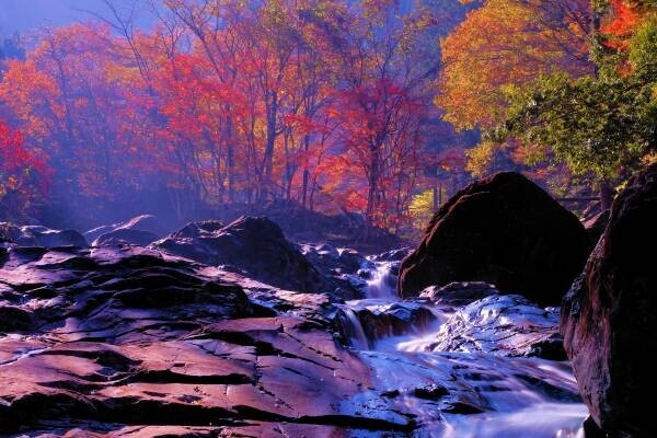 ひょうご風景100選の「福知渓谷」が紅葉のピークを迎える　豊富な水量と巨岩が両岸に迫る景勝地