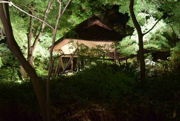 好評開催中！「庭紅葉の六義園　夜間特別観賞」3年ぶりライトアップは12月４日（日）まで