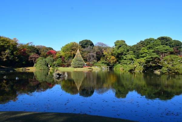 好評開催中！「庭紅葉の六義園　夜間特別観賞」3年ぶりライトアップは12月４日（日）まで