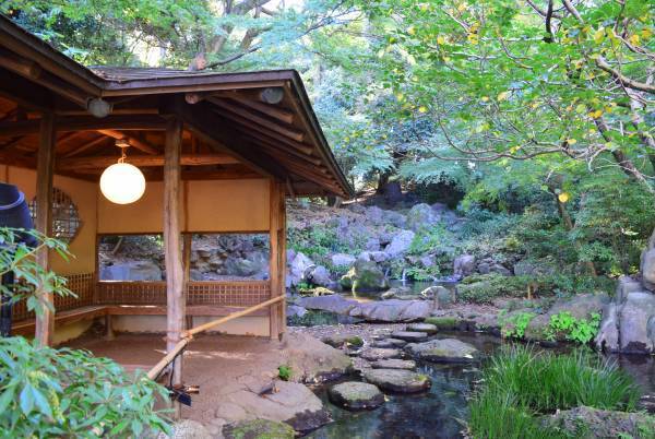 好評開催中！「庭紅葉の六義園　夜間特別観賞」3年ぶりライトアップは12月４日（日）まで