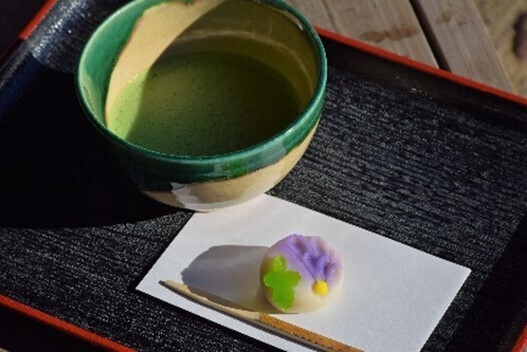 好評開催中！「庭紅葉の六義園　夜間特別観賞」3年ぶりライトアップは12月４日（日）まで