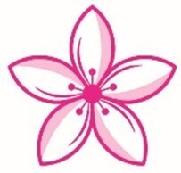 好評開催中！「庭紅葉の六義園　夜間特別観賞」3年ぶりライトアップは12月４日（日）まで