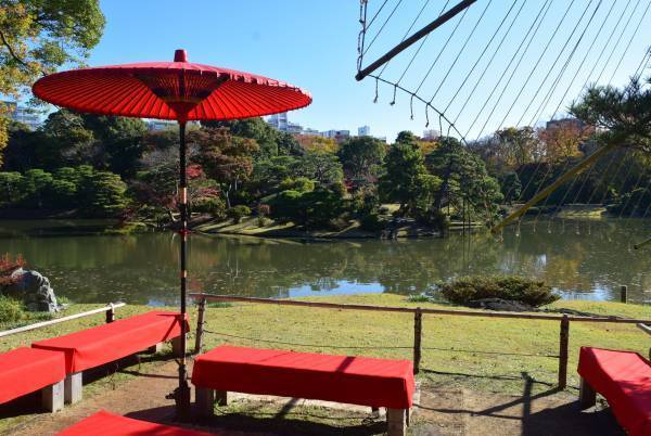 好評開催中！「庭紅葉の六義園　夜間特別観賞」3年ぶりライトアップは12月４日（日）まで