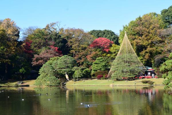好評開催中！「庭紅葉の六義園　夜間特別観賞」3年ぶりライトアップは12月４日（日）まで