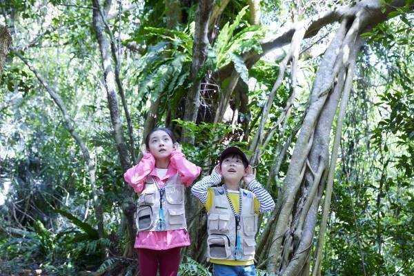 【西表島ホテル】ガイドによる紹介やフィールド体験で西表島に棲む多種多様な生物を学ぶプログラム「友だち100匹できるかな」開催｜期間：2022年3月20日～5月5日