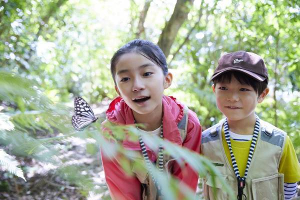 【西表島ホテル】ガイドによる紹介やフィールド体験で西表島に棲む多種多様な生物を学ぶプログラム「友だち100匹できるかな」開催｜期間：2022年3月20日～5月5日