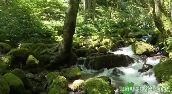 動画で鳥取県日野郡の四季を楽しもう「日野路往来 4 SEASONS ～日野郡アウトドアNavi～」公開中