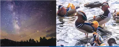 動画で鳥取県日野郡の四季を楽しもう「日野路往来 4 SEASONS ～日野郡アウトドアNavi～」公開中