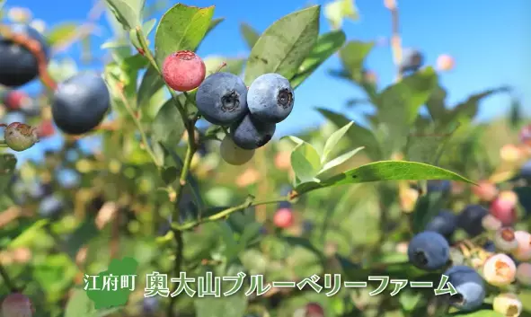 動画で鳥取県日野郡の四季を楽しもう「日野路往来 4 SEASONS ～日野郡アウトドアNavi～」公開中