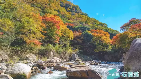 動画で鳥取県日野郡の四季を楽しもう「日野路往来 4 SEASONS ～日野郡アウトドアNavi～」公開中