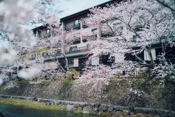 【界】見頃を逃さず、春を満喫できる「界の花見温泉」開催 ～界オリジナルの団子を味わう「花より団子セット」も登場～｜期間：2022年3月25日〜4月7日