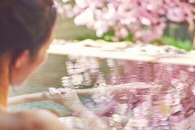 【界】見頃を逃さず、春を満喫できる「界の花見温泉」開催 ～界オリジナルの団子を味わう「花より団子セット」も登場～｜期間：2022年3月25日〜4月7日