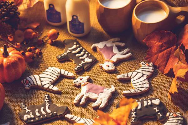 【リゾナーレトマム】今年のハロウィンは仮装した動物と一緒にパーティーを！「ファームハロウィン」開催 ～羊型の「メェーリーゴーラウンド」が登場～｜ 期間：2022年10月1日～31日