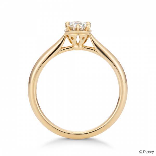 【ディズニー】 『アラジン』 婚約指輪＆結婚指輪 『Trust me（トラスト ミー）』 「アラジン」と「ジャスミン」ふたりの世界観をモチーフに